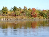 70044CrLeUsm - A lovely Sunday afternoon with Beth kayaking Lake Scugog from Port Perry.jpg